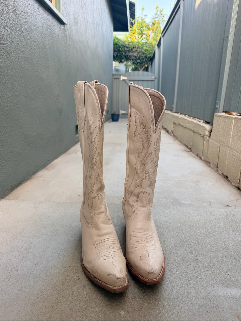 Tecovas Annie Wing in Bone Leather Knee-High Western Boots